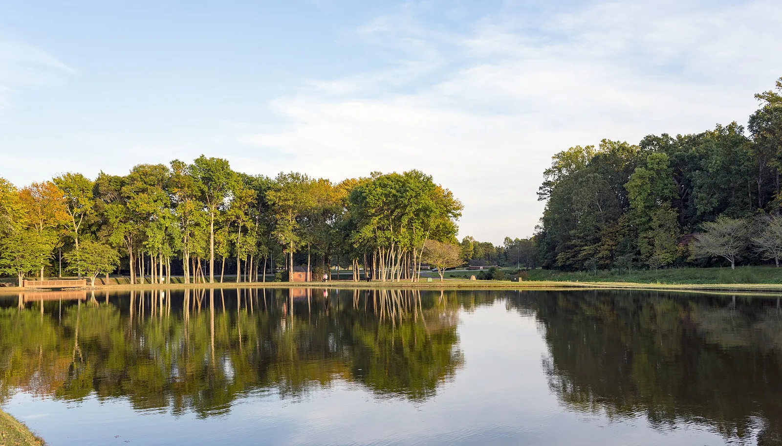 Trees reflected in a pond beside an office park west of I-77 near Gilead Road in Huntersville