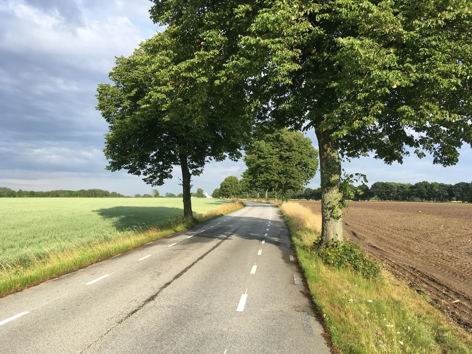 A road near Helsingborg, Sweden, marked the same way as Central Avenue: one center lane for cars and dashed shoulders for people on foot and on bikes. The picture does not show Central Avenue.